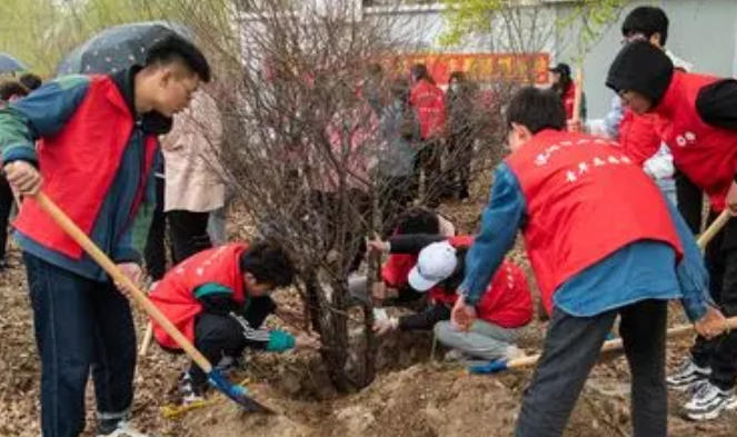 和平区社会工作师国家有补贴吗在哪里报名-(和平区社工补贴报名)