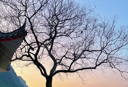 天水心理咨询师证要怎么报名-(天水心理咨询师证报名)