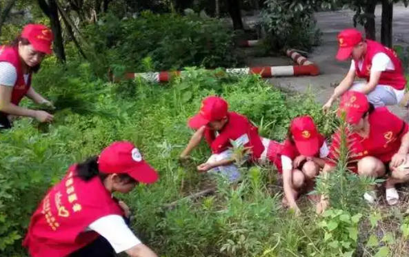 承德助理社会工作师报考资格详解-(承德助理社工报考资格详解)