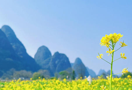 淮北心理咨询师报名入口-(淮北心理咨询师报名入口)