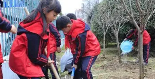 邯郸助理社会工作师难不难考具体怎么考证-(邯郸助理社工考证难)